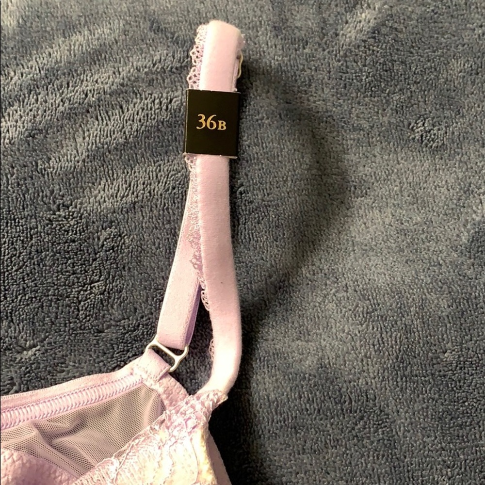 Bra - Picture 3 of 5